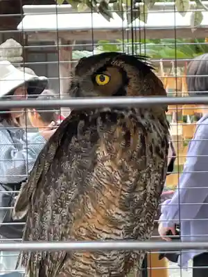 宮地嶽神社(福岡県)