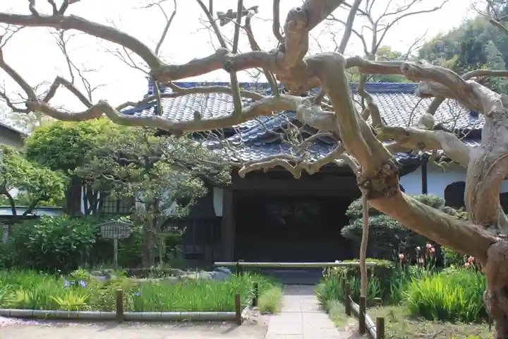 極楽寺(霊鷲山感應院極楽律寺)(神奈川県)