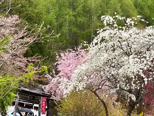 北赤井神社の自然