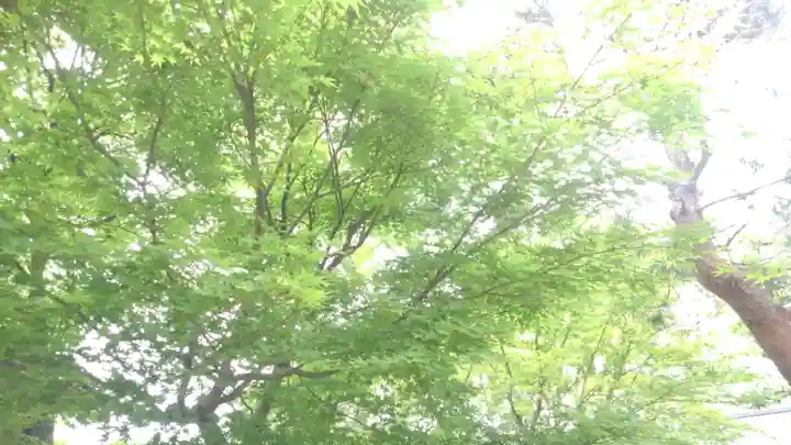 天龍寺(京都府)