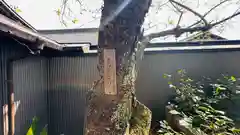 雨宝院(京都府)