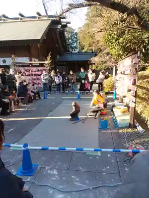 櫻木神社(千葉県)