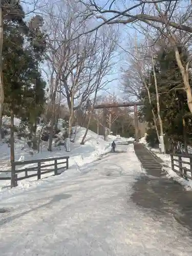 北海道神宮の鳥居