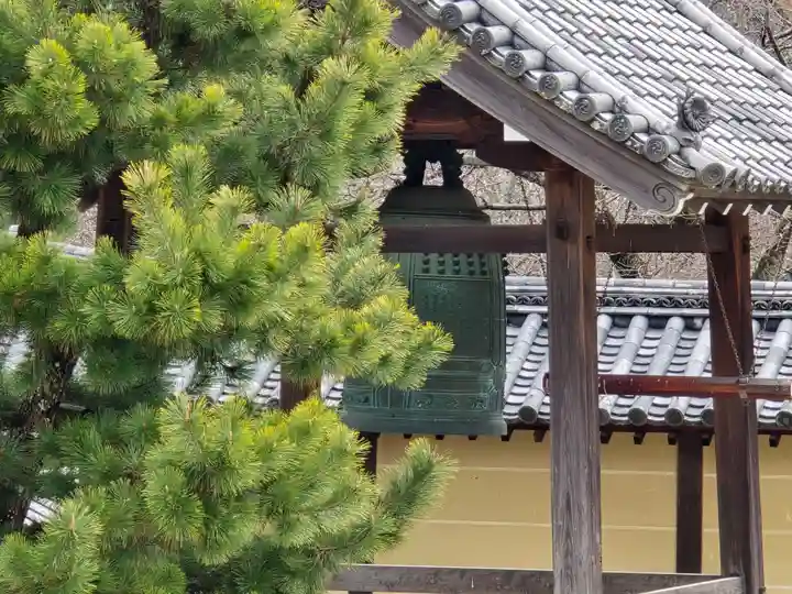 大覚寺(京都府)