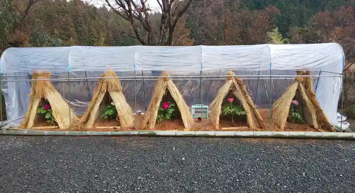 如意輪寺(市原観音)の庭園