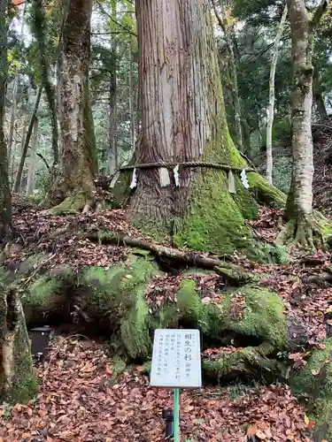 貴船神社奥宮(京都府)