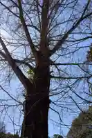 渡通津教会(愛知県)