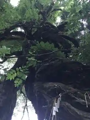阿上三所神社(京都府)