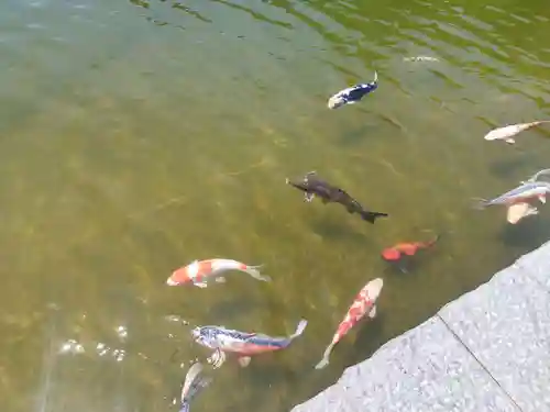 勝尾寺(大阪府)