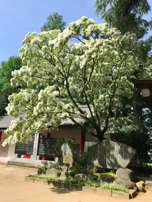 大宝八幡宮(茨城県)