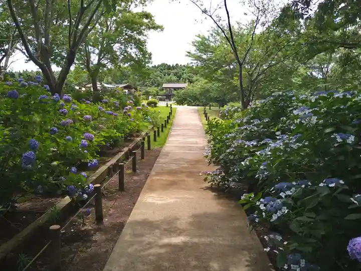 東本願寺本廟 牛久浄苑(牛久大仏)(茨城県)