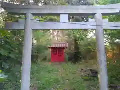 稲荷神社の鳥居