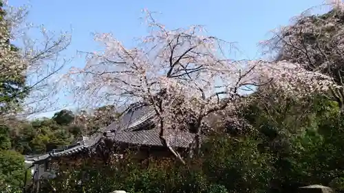 安國論寺（安国論寺）の自然
