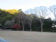 靜岡縣護國神社の建物その他