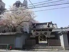 堂閣寺の山門