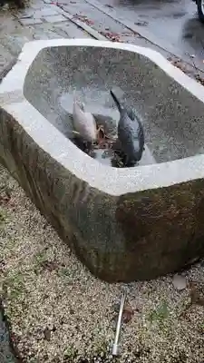 横手神明社(秋田県)