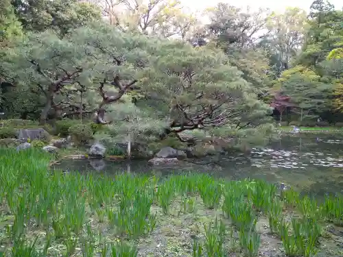 平安神宮の庭園