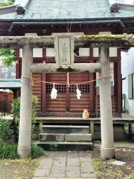 秋葉神社(長野県)