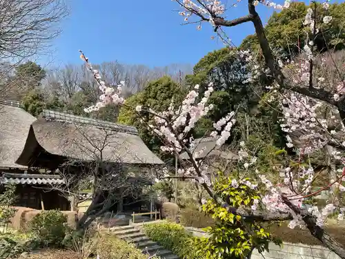横浜　西方寺(神奈川県)