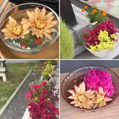 新川皇大神社の手水