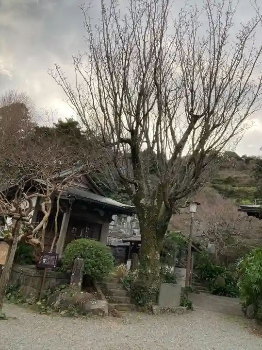 城願寺(神奈川県)