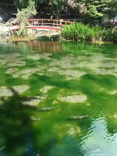 龍泉寺の庭園