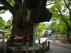 大麻比古神社(徳島県)