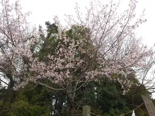 厳島神社(広島県)