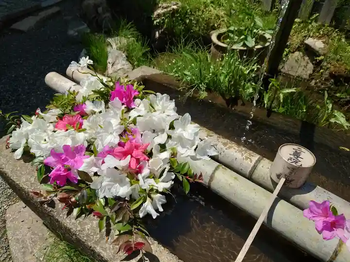 二尊院(京都府)