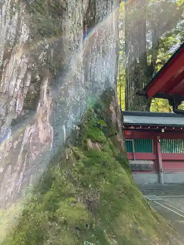 日光二荒山神社(栃木県)