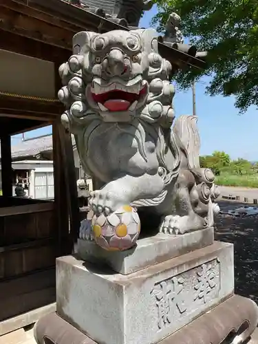 大針神社の狛犬