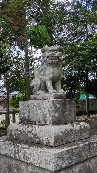 八幡宮の狛犬