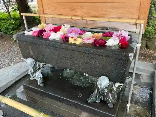 西新井大師総持寺(東京都)