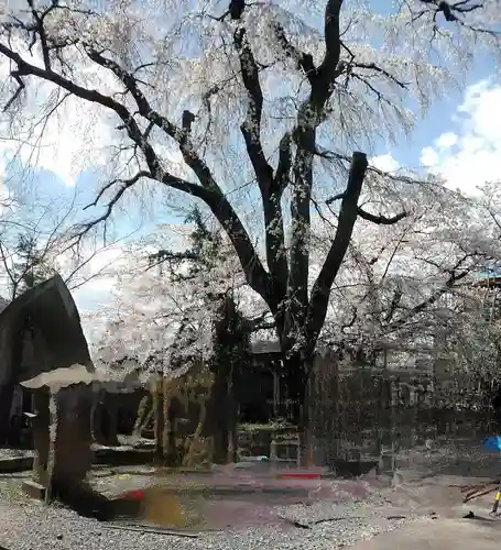 妙徳寺(福島県)