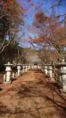 高山寺の自然