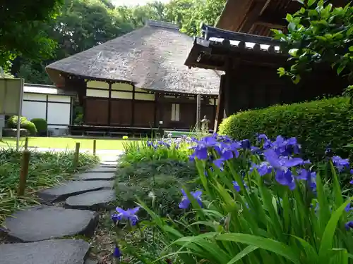 横浜　西方寺の本殿・本堂