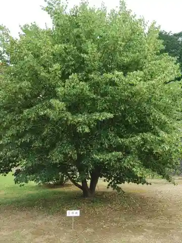 円福寺のその他建物