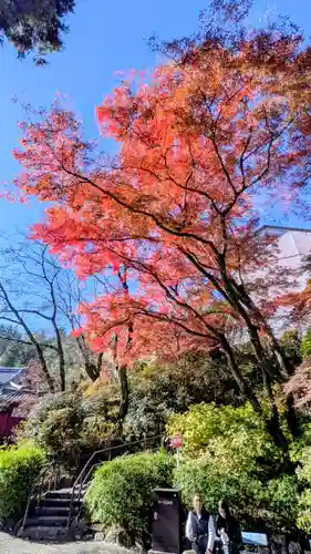 長谷寺(奈良県)