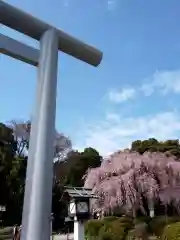 櫻木神社の建物その他