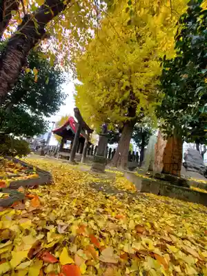晴門田神社(福島県)