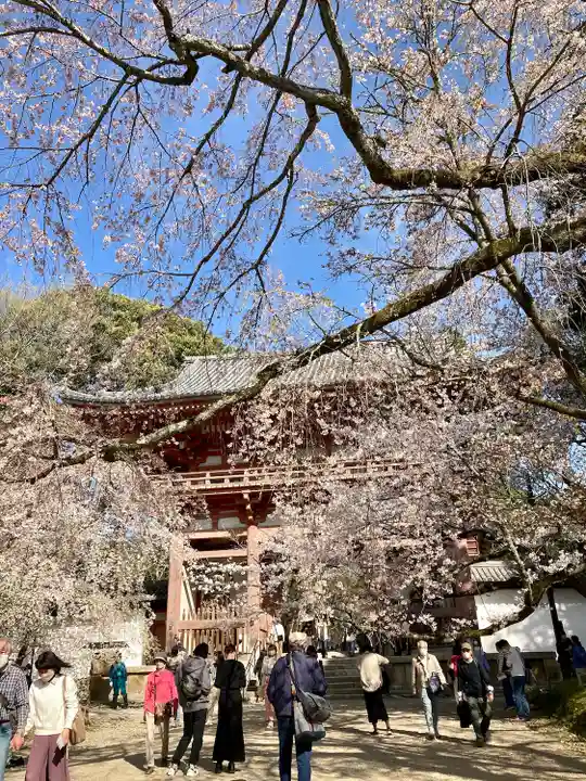 醍醐寺(京都府)