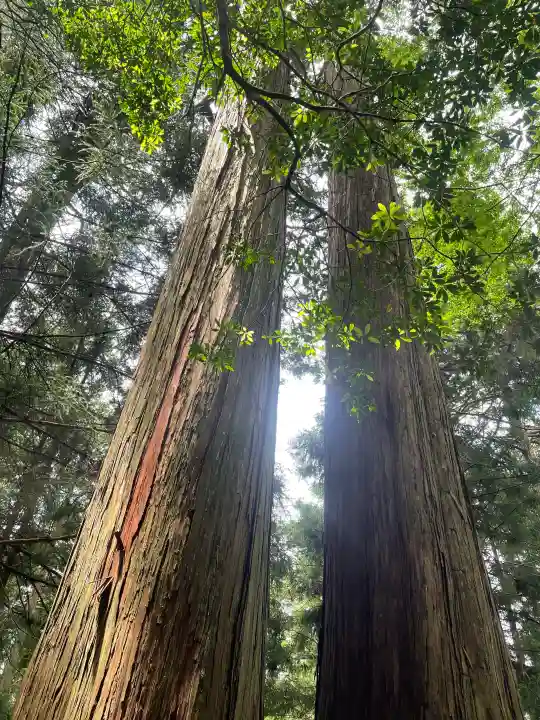 三峯神社の{uncategorized: "未分類", other: "その他", undefined: "問題あり", building: "その他建物", grave: "お墓", sacred_gate: "鳥居", guardian: "狛犬", statue: "像", buddha: "仏像", history: "歴史", nature: "自然", garden: "庭園", animal: "動物", pagoda: "塔", temizu: "手水舎", mountain_gate: "山門・神門", sanctuary: "本殿・本堂", subordinate: "末社・摂社", art: "芸術", scenery: "景色", jizo: "地蔵", ema: "絵馬", goshuin: "御朱印", omikuji: "おみくじ", items: "授与品その他", amulet: "お守り", goshuincho: "御朱印帳", eats: "食事", festival: "お祭り", votive_dance: "神楽", shichigosan: "七五三参", wedding: "結婚式", experience: "体験その他", initially: "初詣", around: "周辺", anti_infection: "感染症対策"}