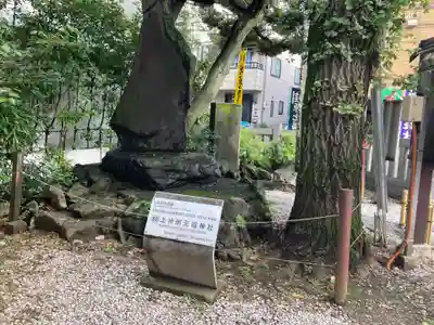 蛇窪神社(東京都)