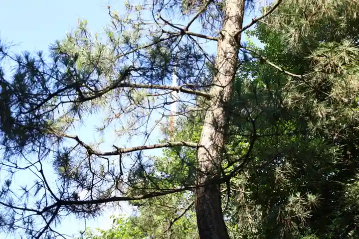 寒川神社(神奈川県)