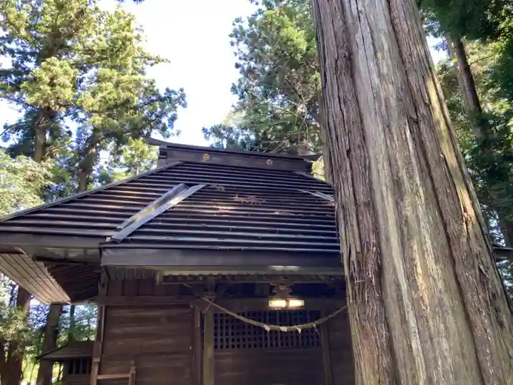 香取神社(茨城県)
