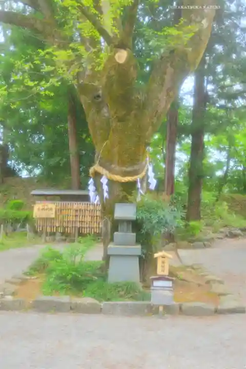 武田神社(山梨県)