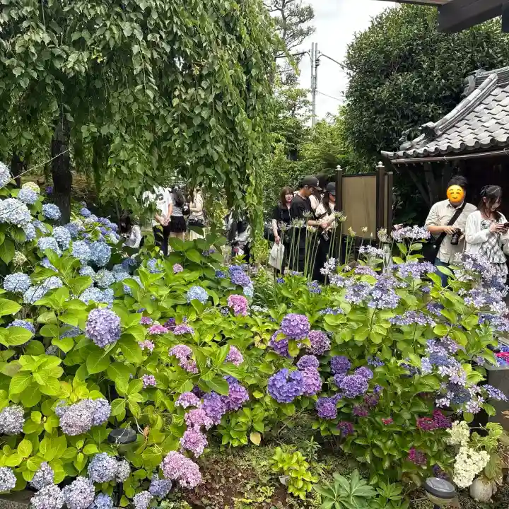 法輪寺(東京都)