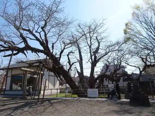 豊受神社の自然