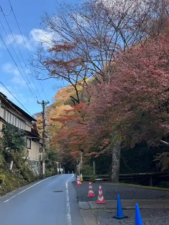 貴船神社結社(京都府)