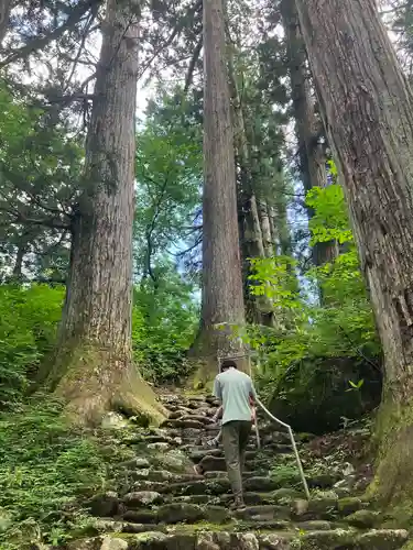 白山中居神社の自然